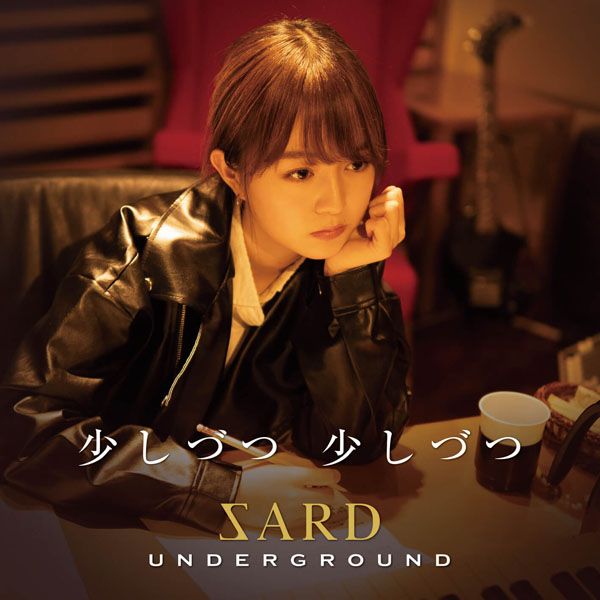 SARD UNDERGROUND「少しづつ 少しづつ」少しづつ 少しづつ | ミュージック（主題歌 / テーマ曲集 / サウンドトラック）ジャケット
