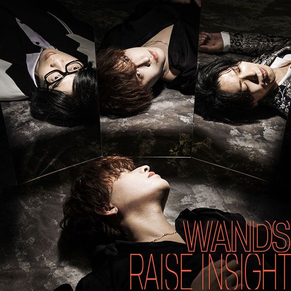 WANDS「RAISE INSIGHT」RAISE INSIGHT | ミュージック（主題歌 / テーマ曲集 / サウンドトラック）ジャケット