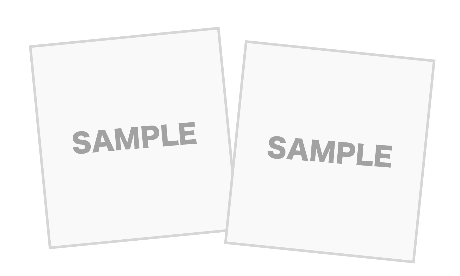 初回生産分のみ特典封入！！